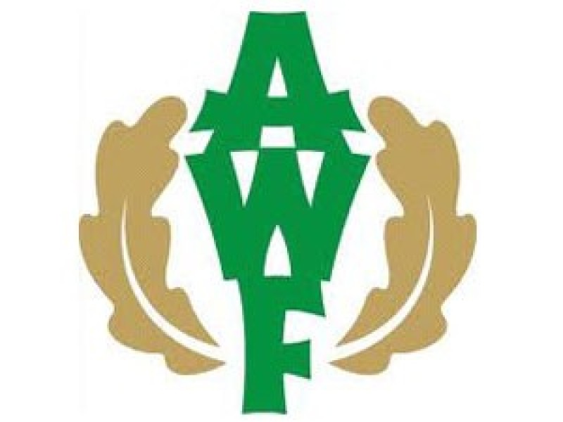 AWF: uhonorowano wybitnych lekkoatletów