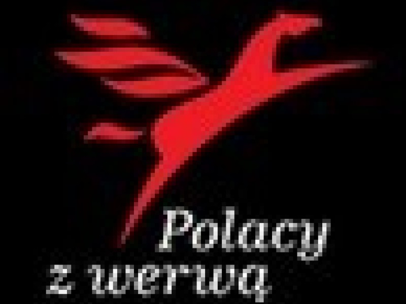 Polacy z Werwą: głosujcie na Kszczota