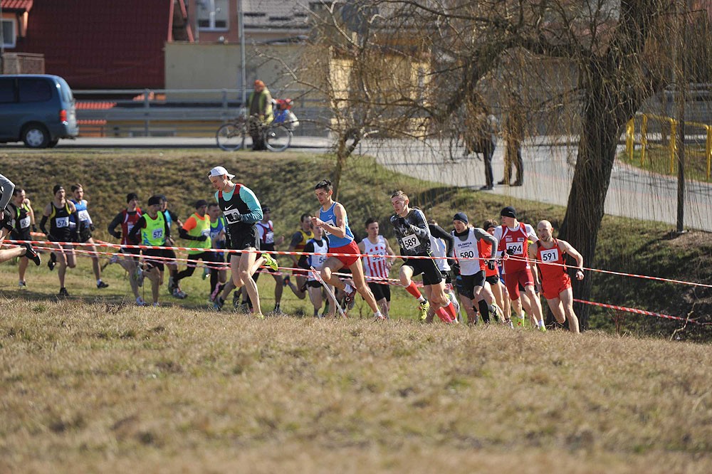 Mistrzostwa Polski w Biegach Przełajowych Iława 2015 obrazek 3