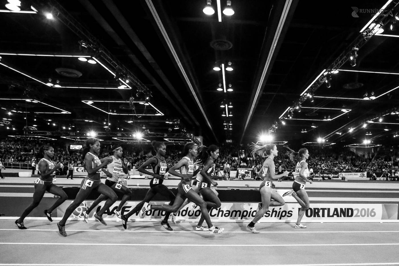 16. IAAF Halowe Mistrzostwa Świata - III dzień obrazek 18