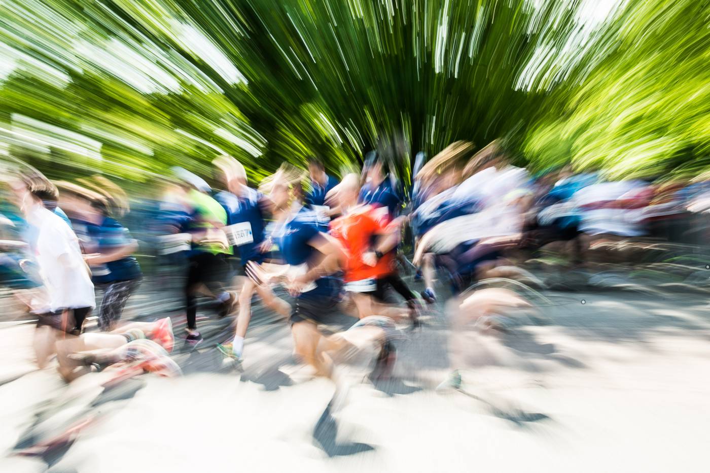 Bieg Konstytucji 3 Maja obrazek 20