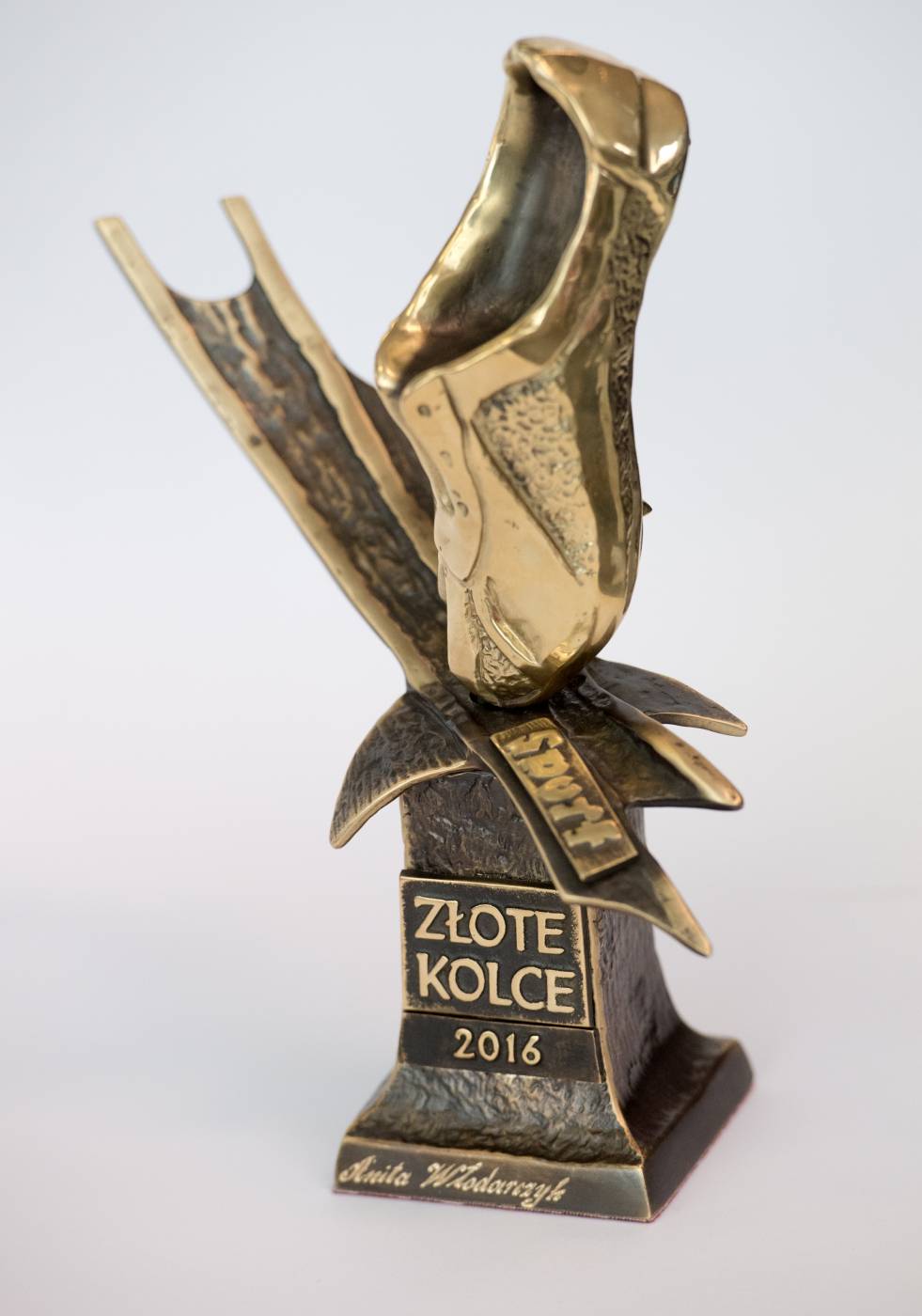 Złote Kolce 2016 obrazek 10