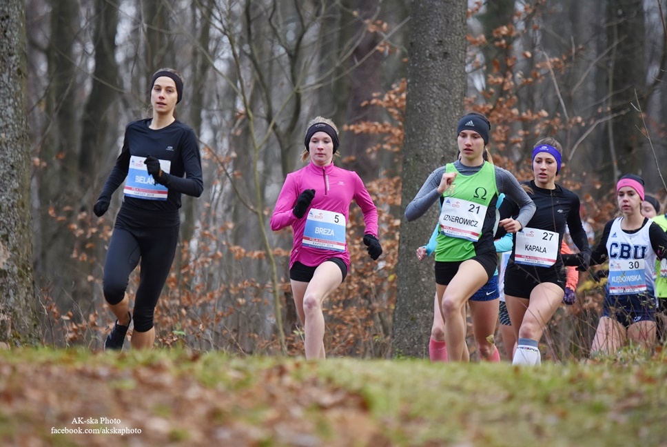 PZLA Mistrzostwa Polski U23 w Biegach Przełajowych 2019, Kartuzy obrazek 2