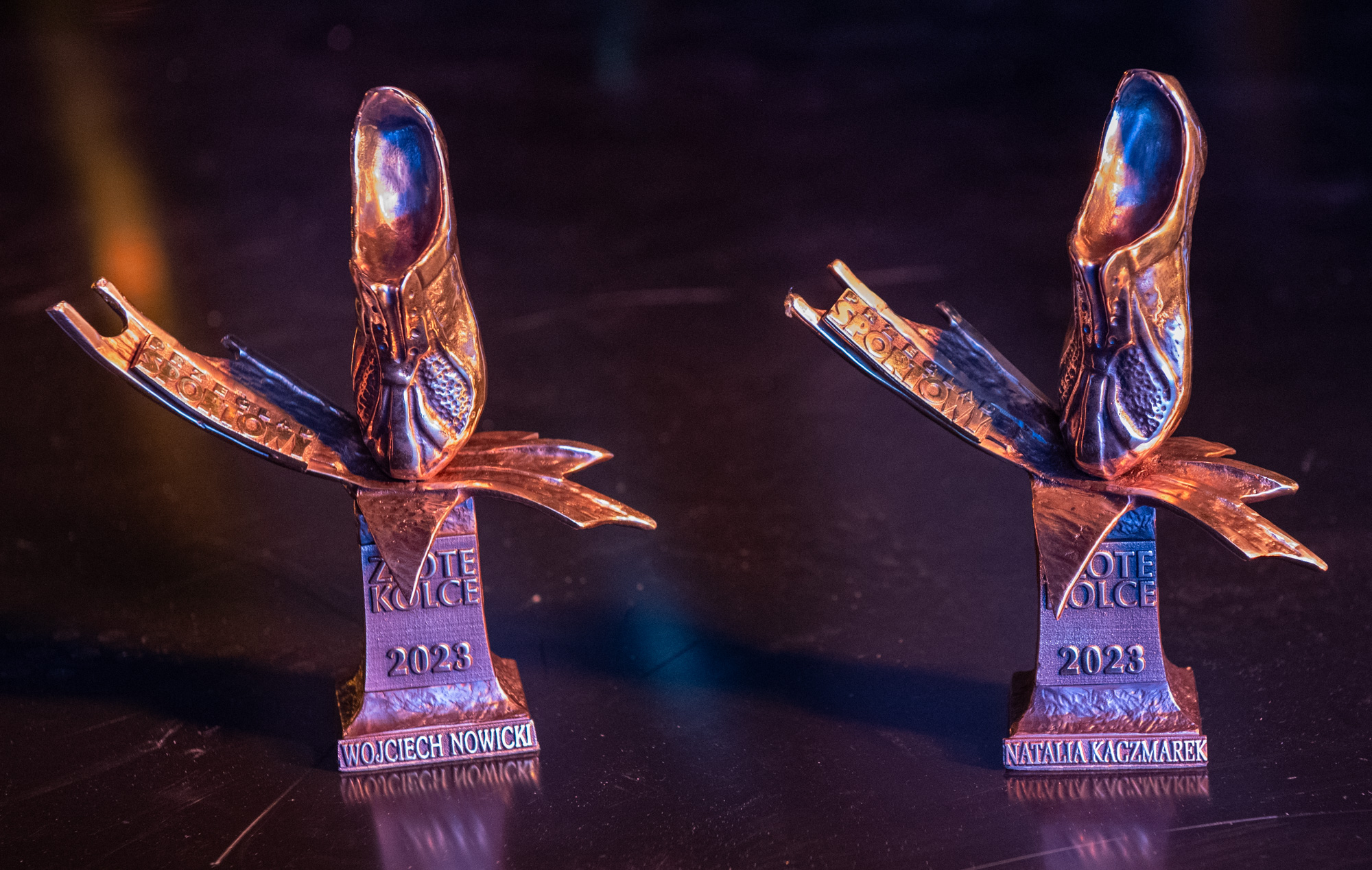 Gala Orlen Złote Kolce Śląskie 2023 obrazek 1