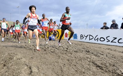 Przełajowe MŚ - Bydgoszcz 2010 obrazek 1