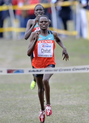 Przełajowe MŚ - Bydgoszcz 2010 obrazek 11